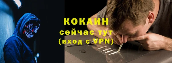 твердый Верея