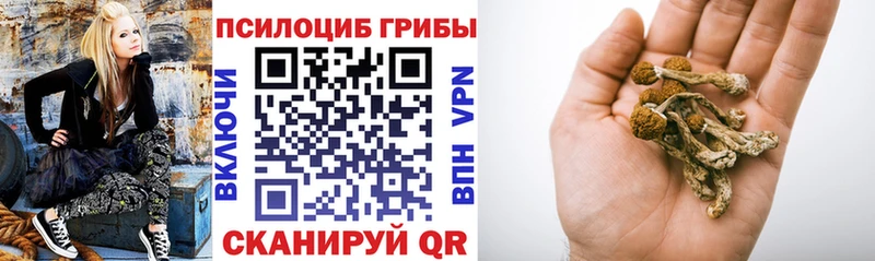 Псилоцибиновые грибы прущие грибы  Купить где  Мантурово 